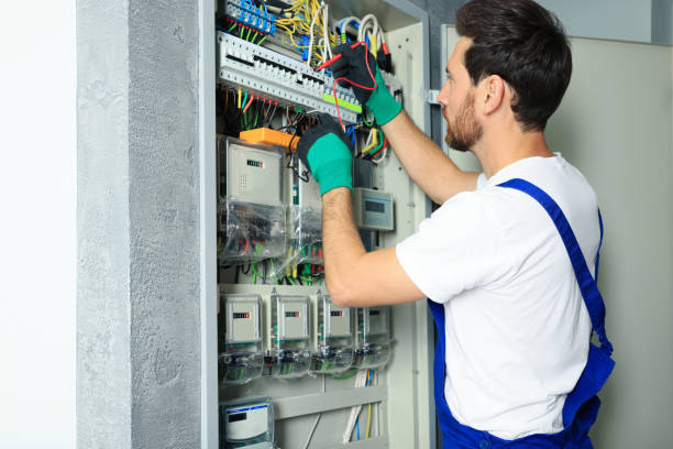 Best 24-Hour Electrician  in Lester Prairie, MN
