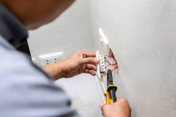 Best Home Electrical Repair  in Lester Prairie, MN